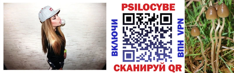 Галлюциногенные грибы Magic Shrooms  кракен ССЫЛКА  Котельниково 